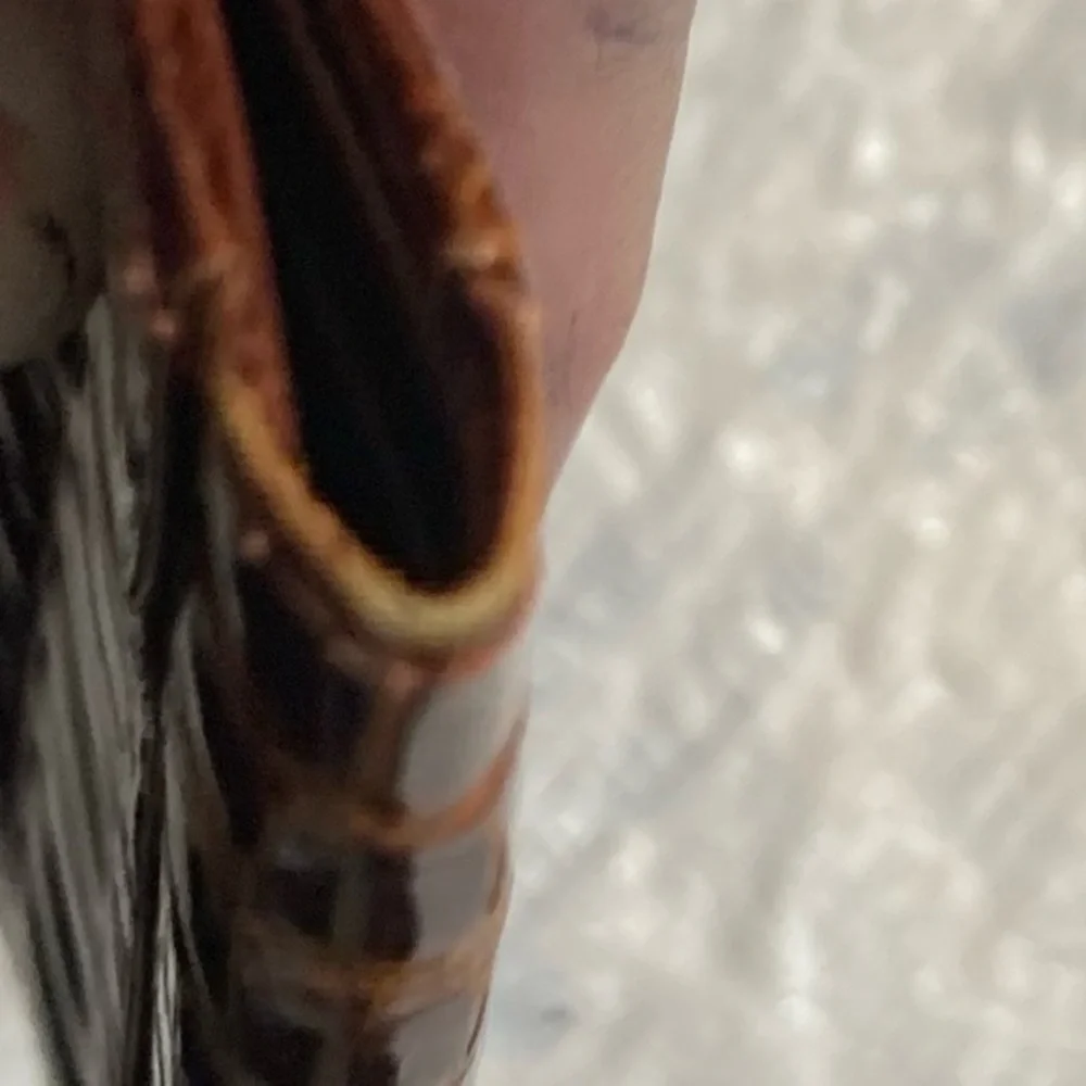 Alligator or crocodile leather wallet